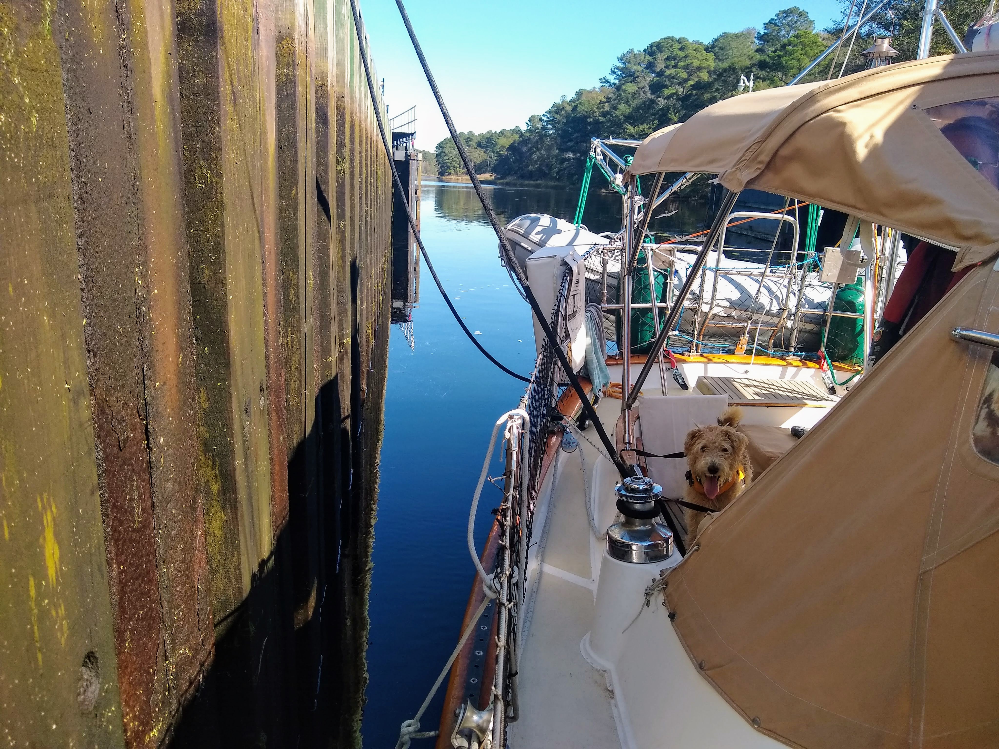 Boat Dog locks through a lock on the Dismal Swamp ICW