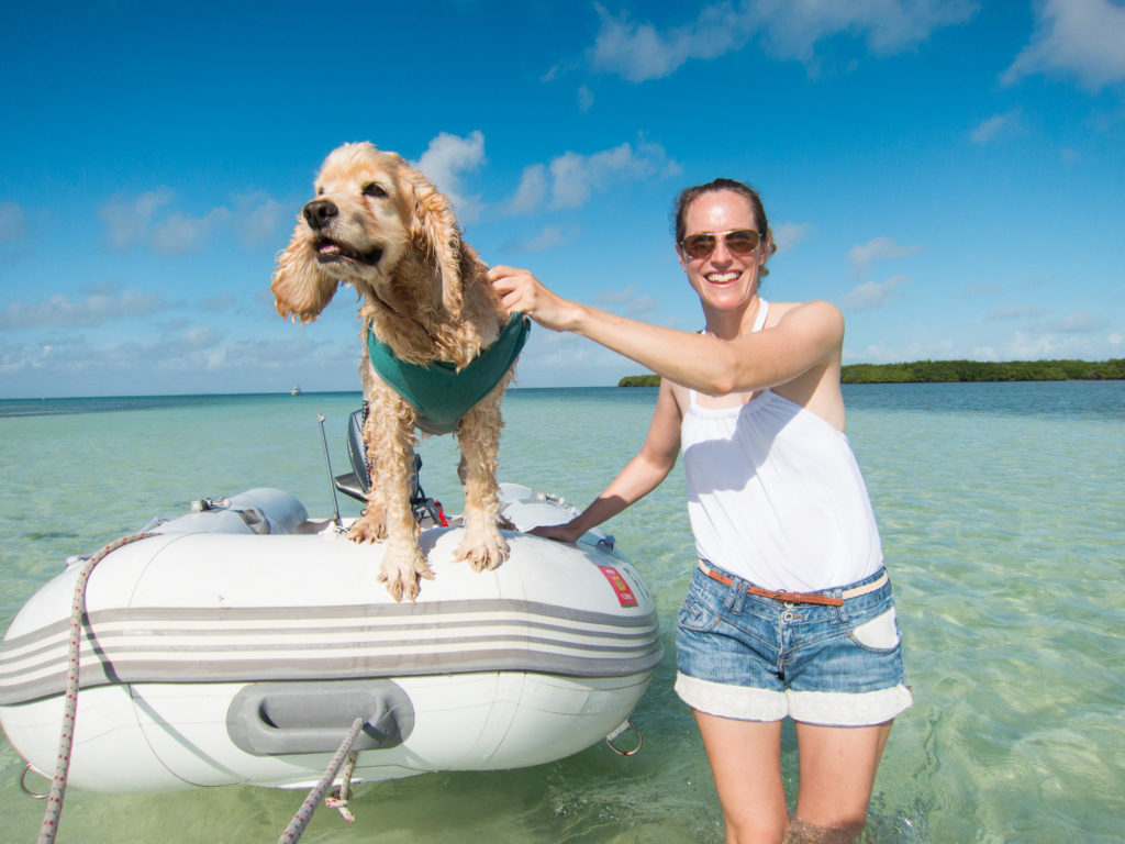Boat dog on Intracoastal Waterway dinghy