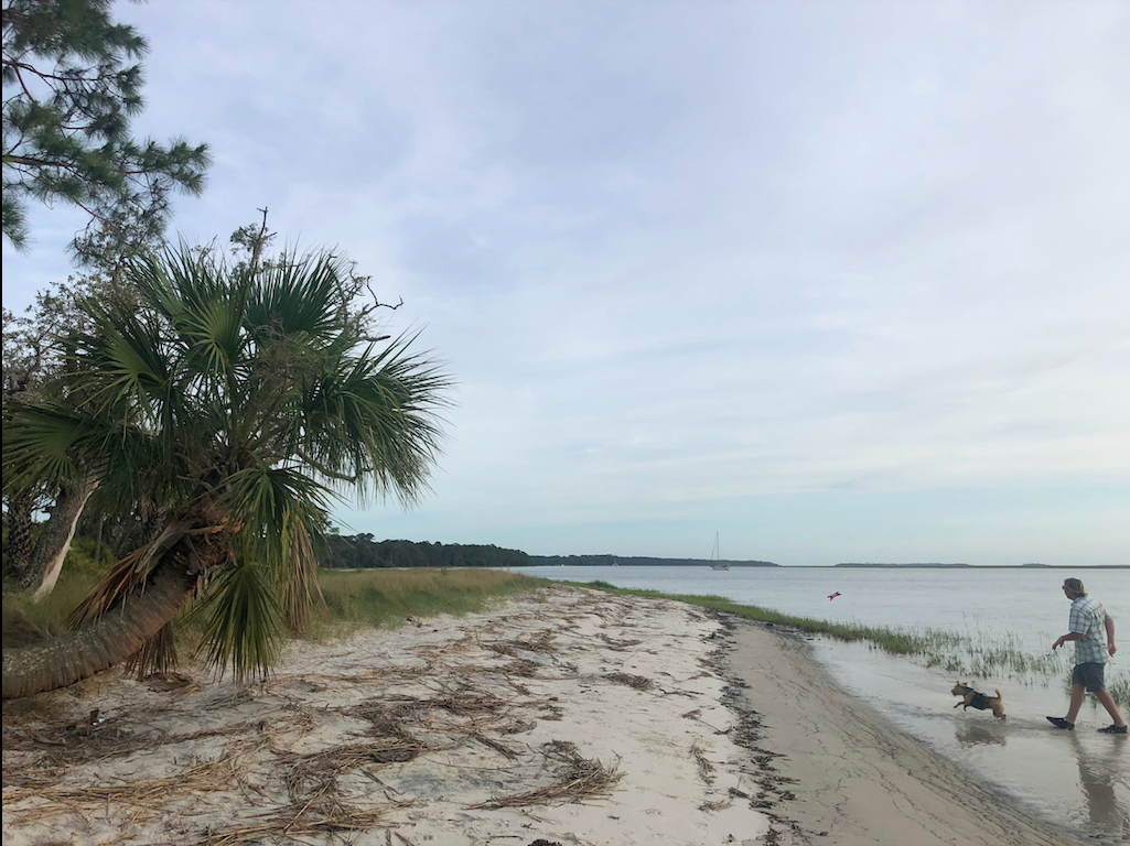 St Catherines Island with trees and beaches along Georgia's intracoastal waterway